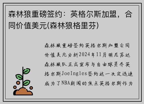 森林狼重磅签约：英格尔斯加盟，合同价值美元(森林狼格里芬)